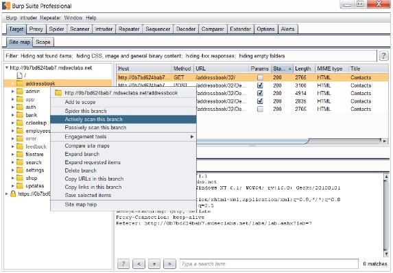 Burp-Suite-Professional2.jpg