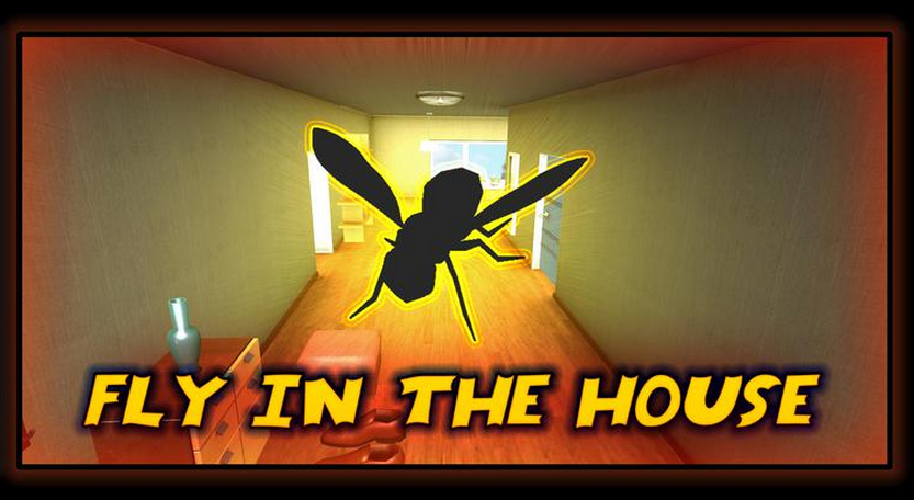 flyinthehouse_cover1 flyinthehouse_cover1