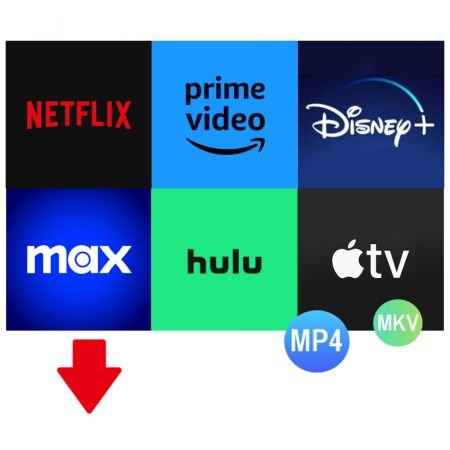 pazu-streamget-all-in-one-video-downloader-indir-full-v3-1-3-galeri-0-ecba.jpg