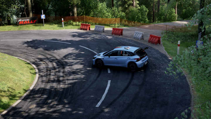 assetto-corsa-rally-indir-full-pc-turkce-galeri-2-9569.jpg