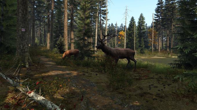 dayz-indir-full-pc-2026-online-v1-29-standlone-galeri-2-5df3.jpg