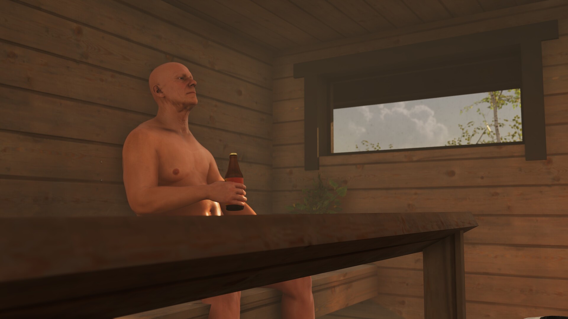 finnish-cottage-simulator-ss-1-9fc0.jpg