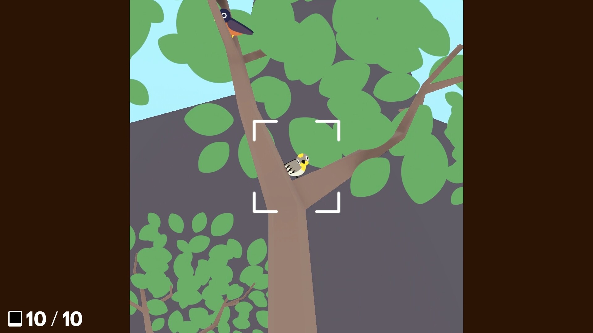 flock-around-ss-1-3b54.jpg