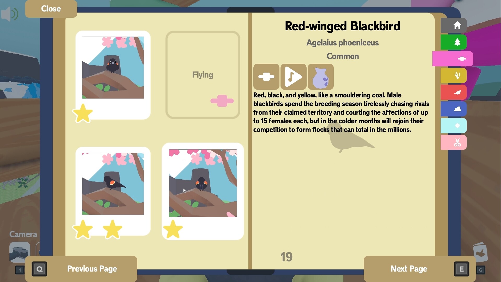 flock-around-ss-3-537e.jpg