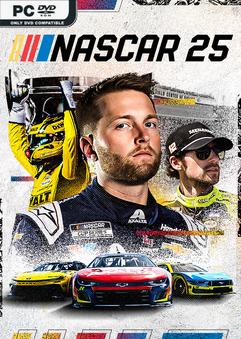 nascar-25-eec3.jpg