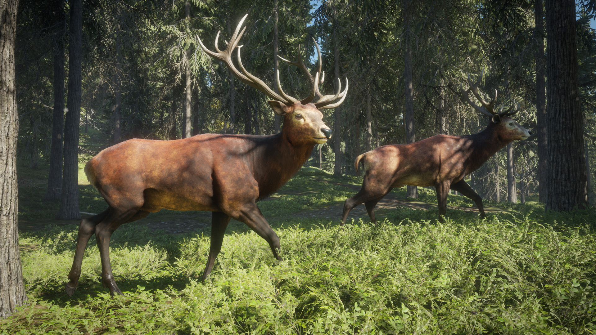 thehunter-call-of-the-wild-ss-0-8719.jpg