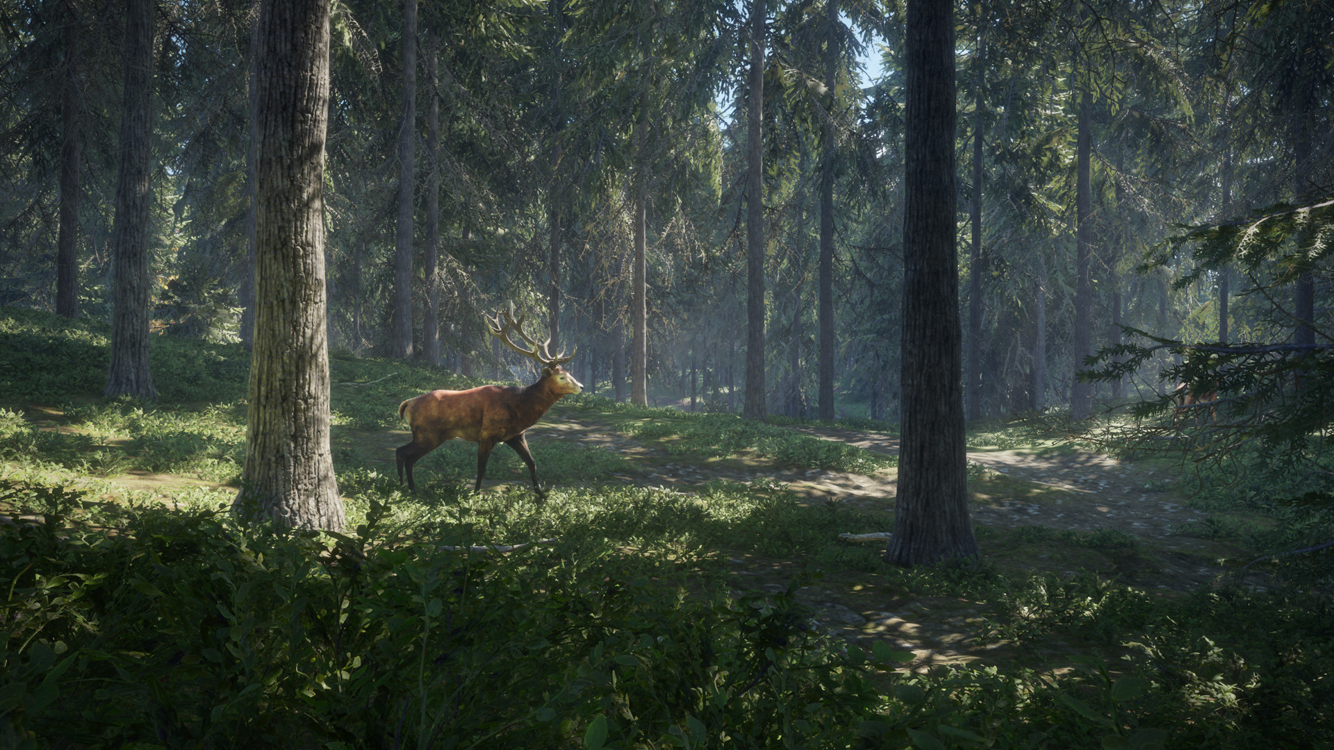 thehunter-call-of-the-wild-ss-3-aeb6.jpg