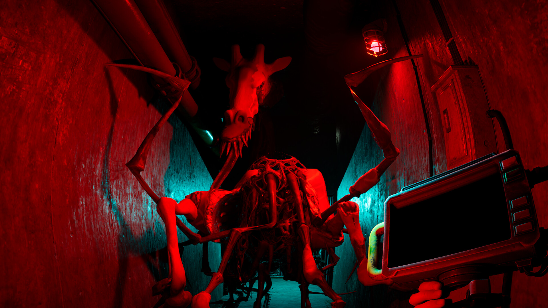 zoochosis-ss-0-7ac5.jpg